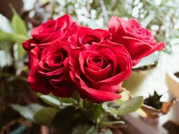 گوشی موبایل اپل آیفون 13 پرو مکس